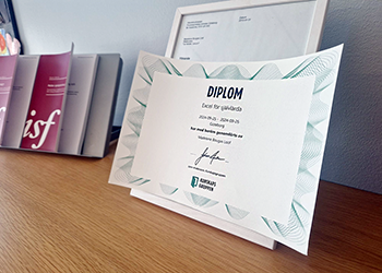 Madelenes diplom Excel för självlärda